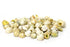 Yellow Green Turbo Shells - 1 Kg